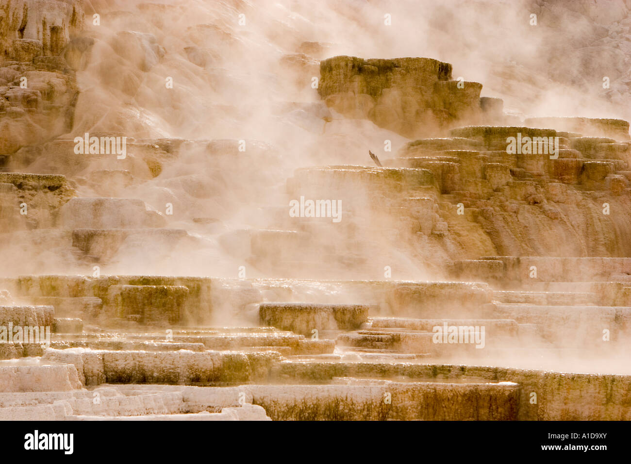 Hot Spring Flow Hot springs flow hi-res stock photography and images - Alamy