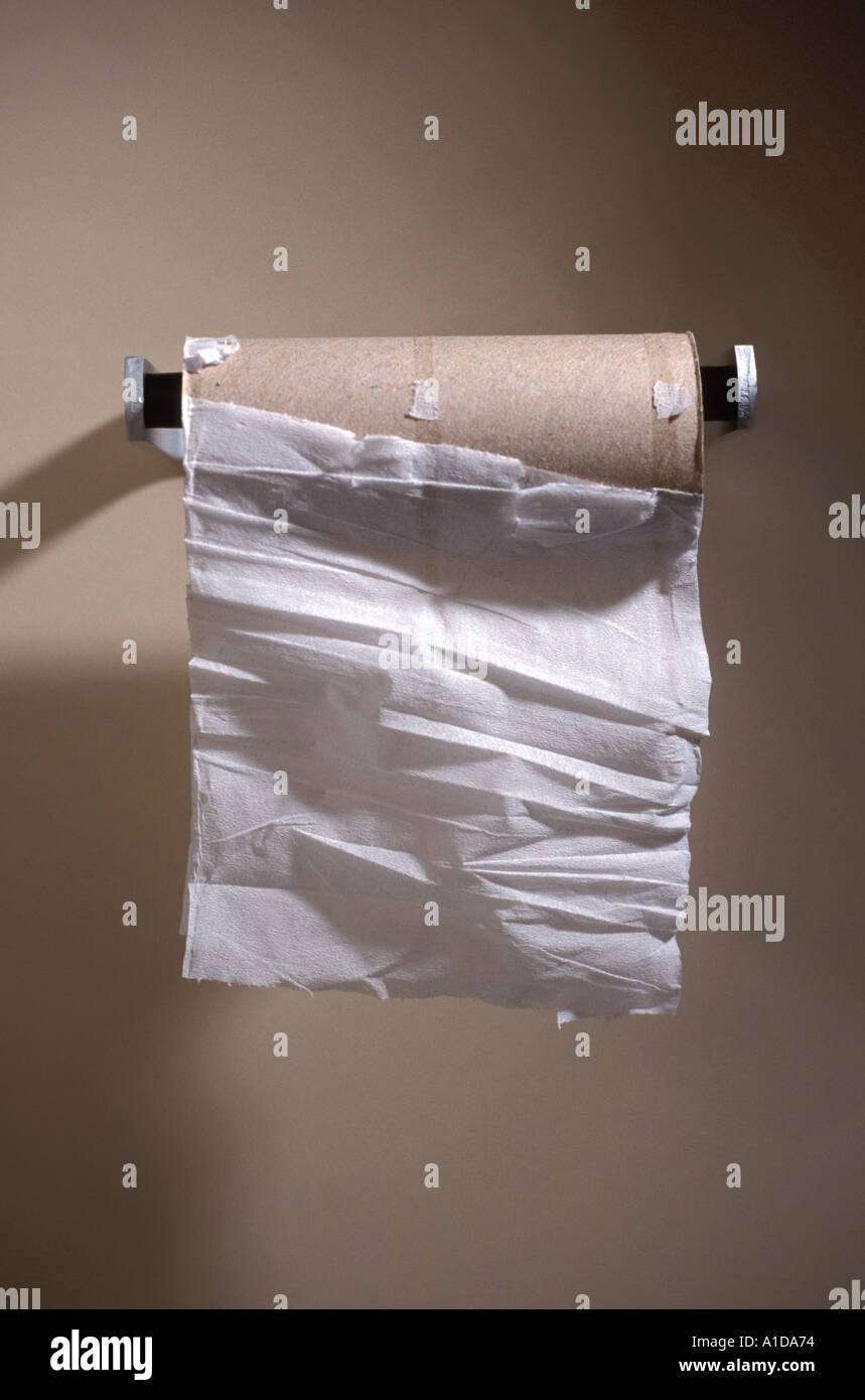Empty toilet paper roll Stock Photo Alamy