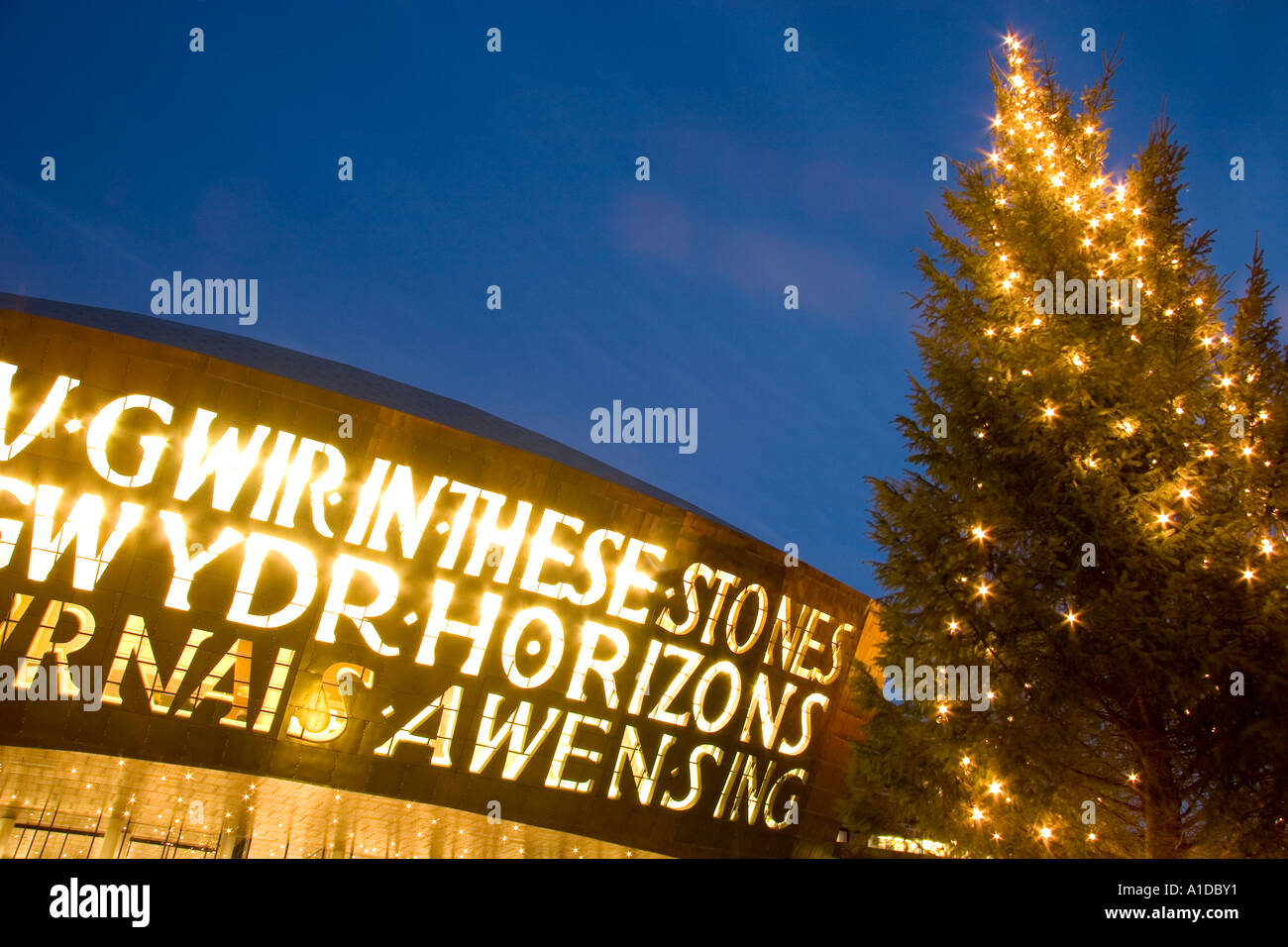 Wales Millennium Centre and Christmas Tree Illuminated at Dusk Cardiff