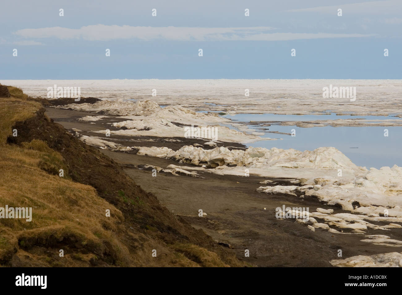 spring breakup along the Arctic coast south of Point Utqiagvik Barrow ...