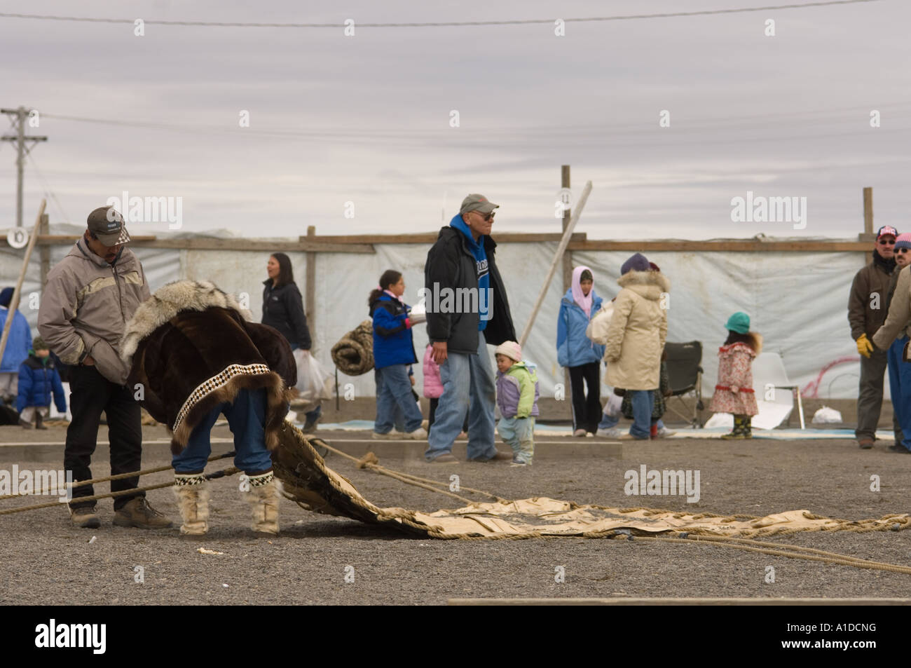 setting up for the blanket toss at the spring Nilugatuk event