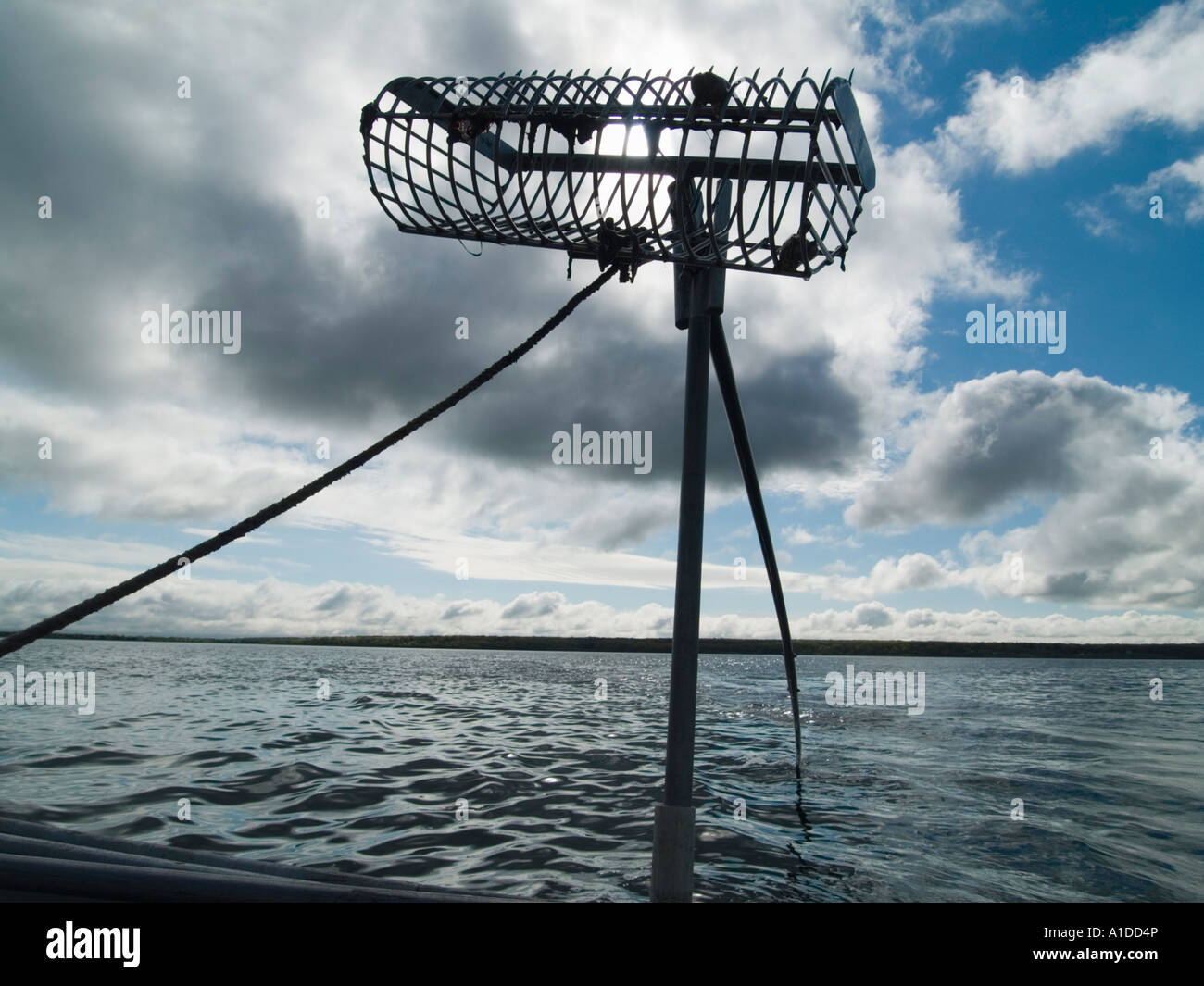 The rake used by Bo Christenson and Donna J Cote Quahoggers (shell fisherman) at work on Narragansett bay Stock Photo