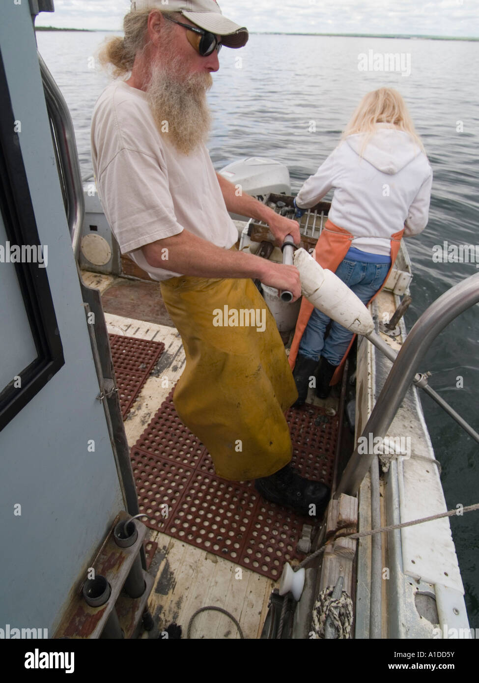 Bo Christenson and Donna J Cote Quahoggers (shell fisherman) at work on Narragansett bay Stock Photo