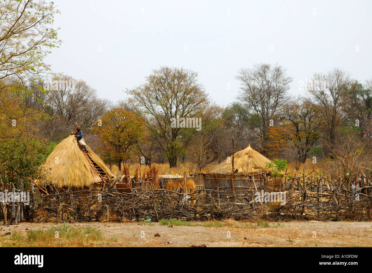 Traditional village with thatched-roof huts, Botswana Stock Photo