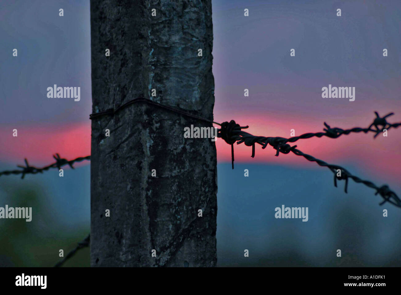 Barbed wire and post at sun set Stock Photo