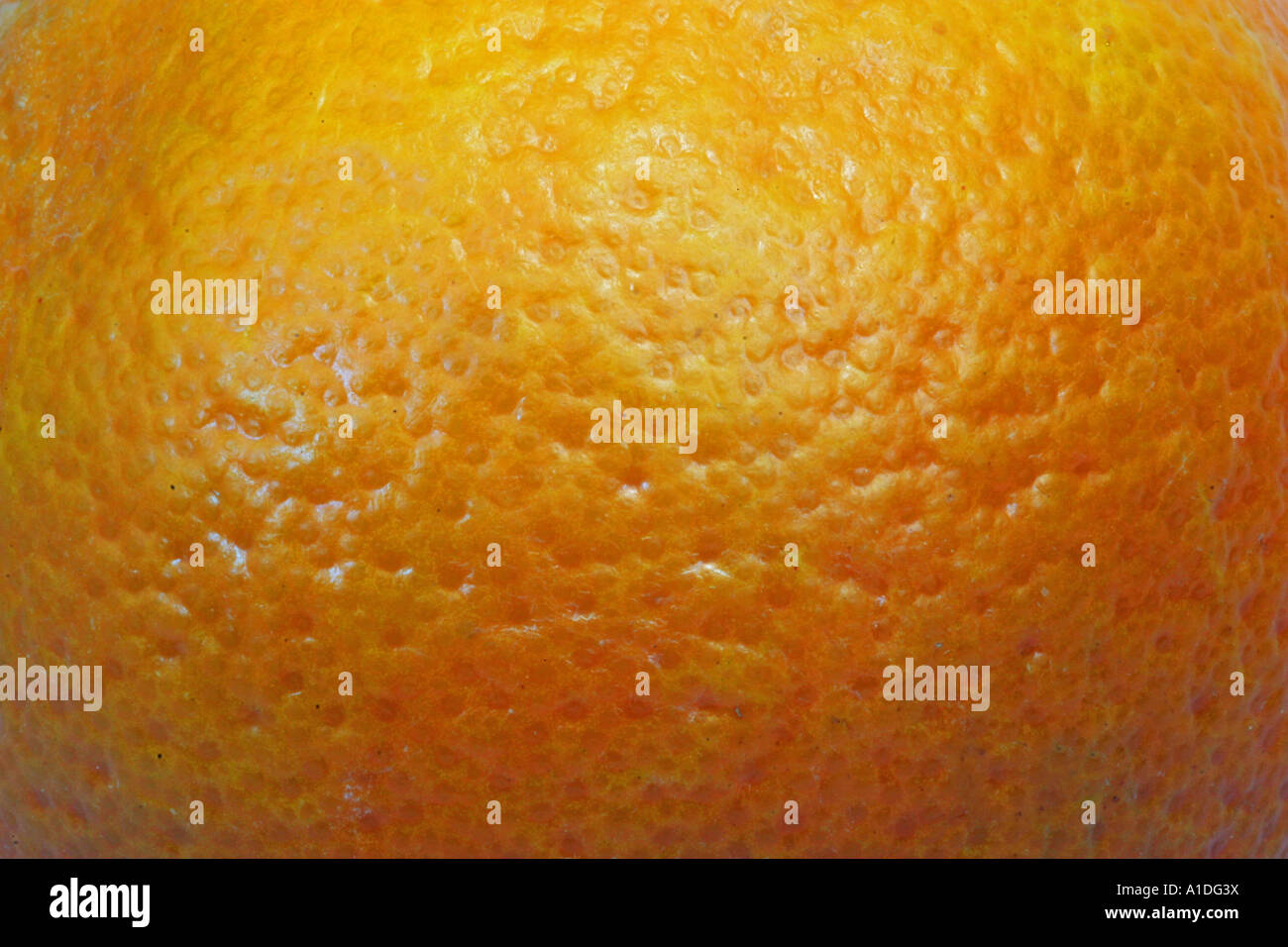 Orange peel, symbolic for cellulite skin Stock Photo Alamy