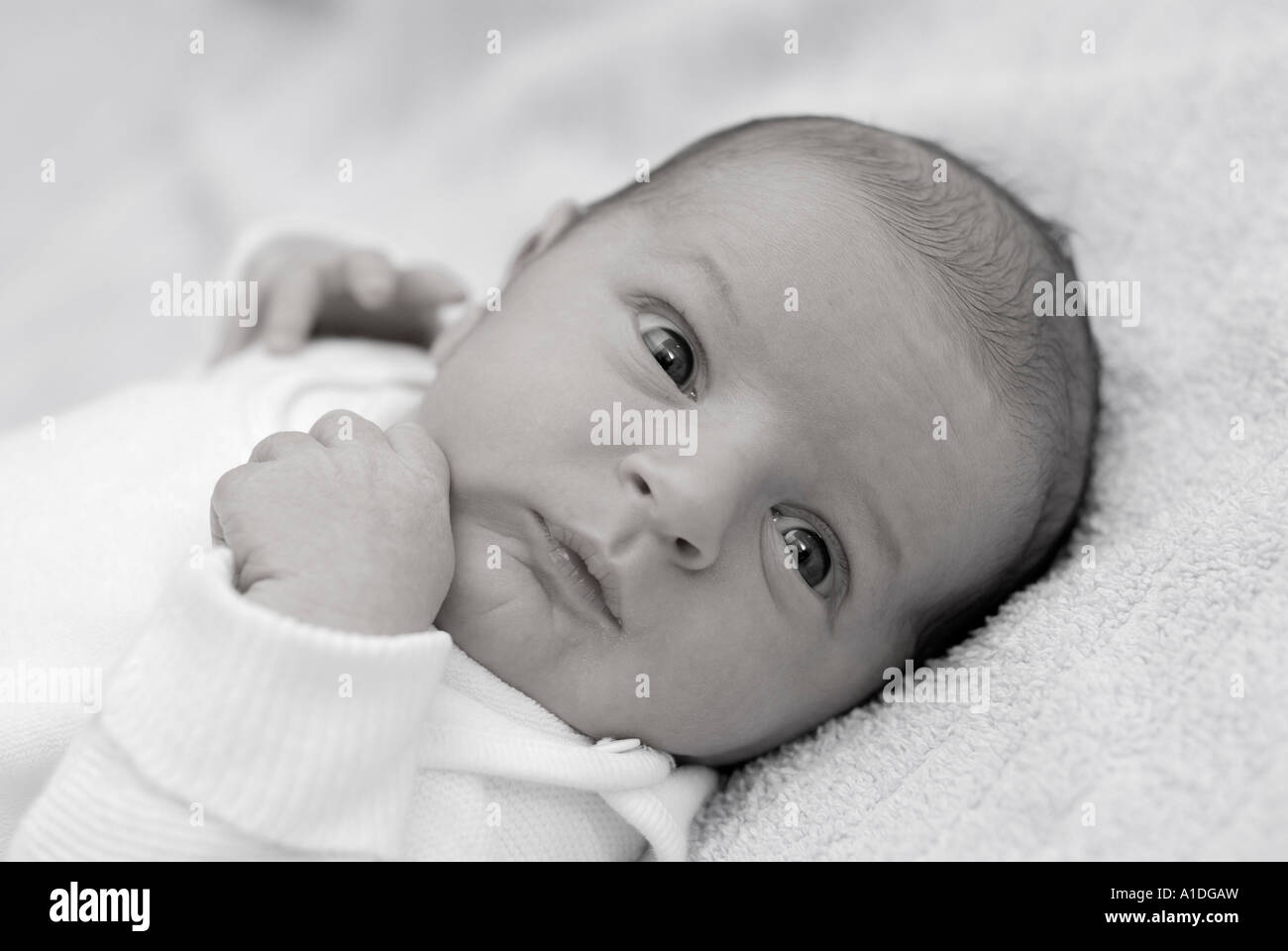 Portrait eines neugeborenen Jungen, 4 Tage Stock Photo