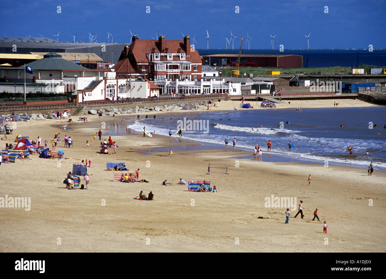 Is Gorleston Beach Dog Friendly