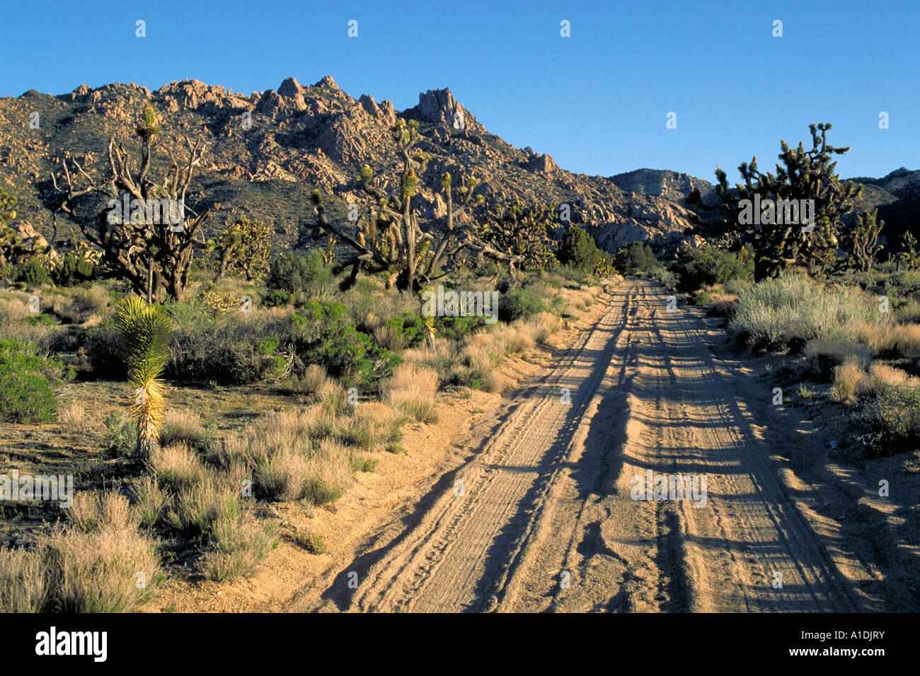 Caruthers canyon hires stock photography and images Alamy