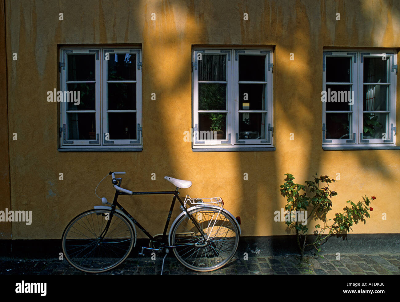 Yellow bicycle front hi-res stock photography and images - Alamy