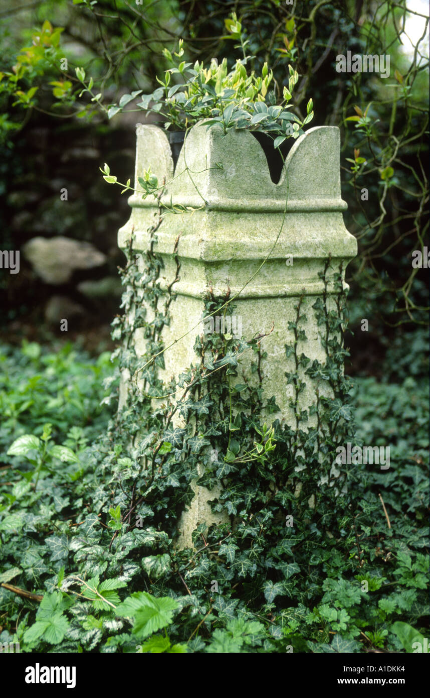 old chimney pot used as a garden planter with ivy Stock Photo Alamy