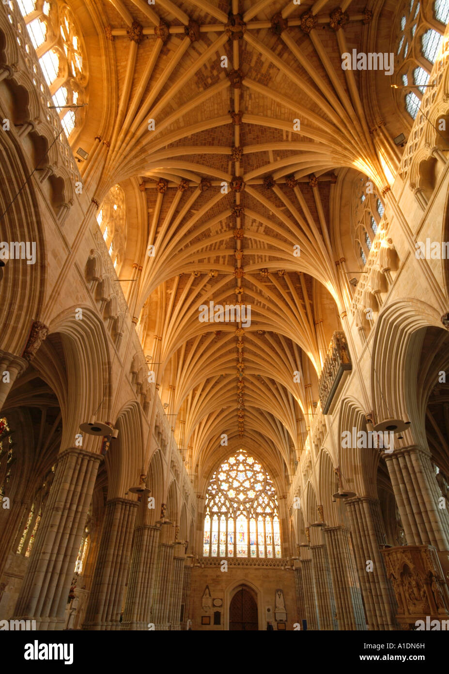 Exeter Cathedral Interior Devon UK Stock Photo Alamy