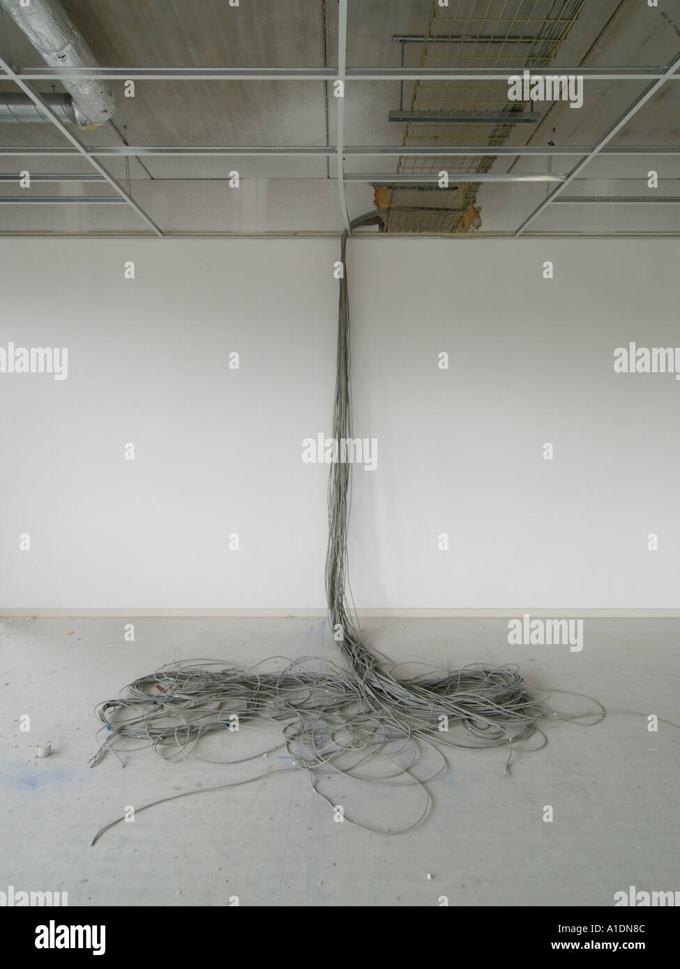 giant mass of network cable coming from the ceiling in a new office building Stock Photo
