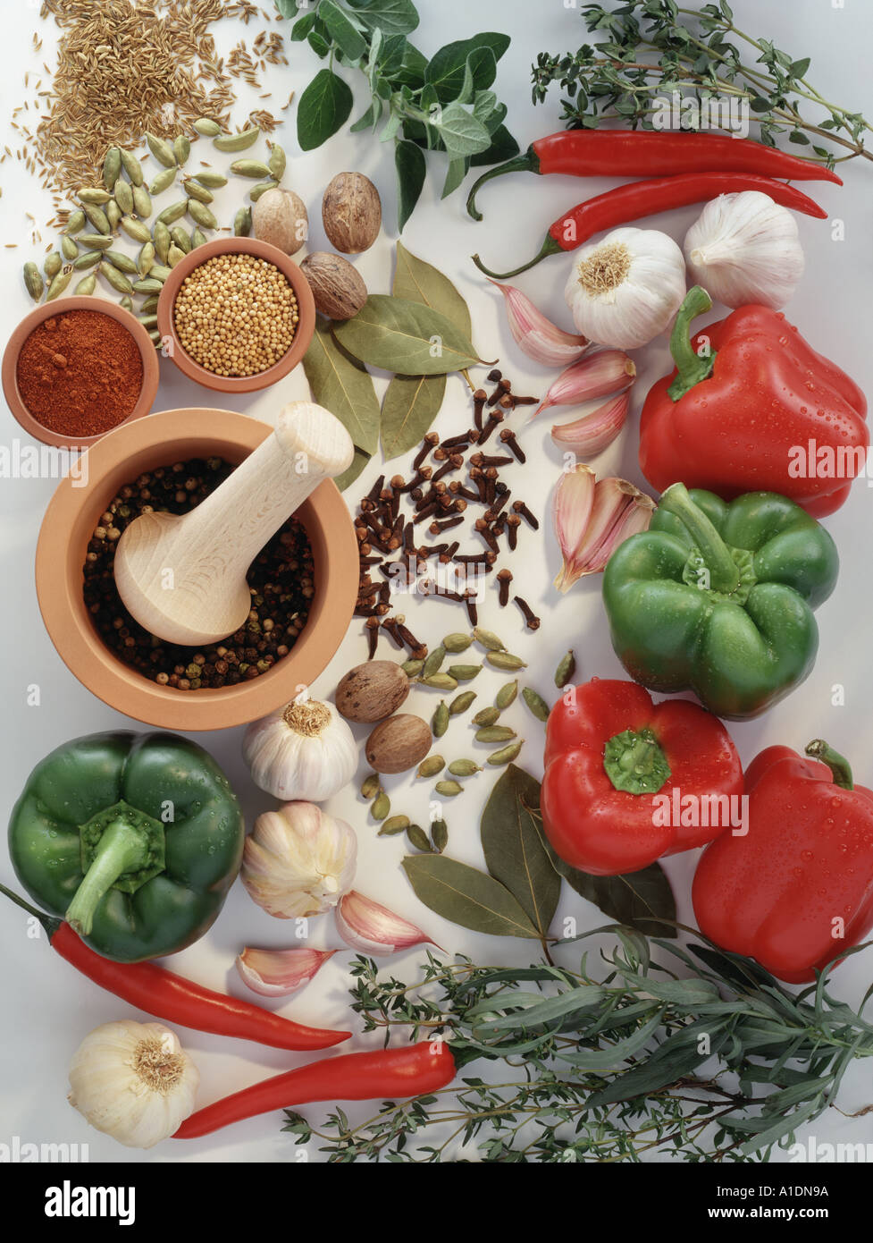 Still life of herbs spices and peppers Shot overhead on a white background and dappled lighting Original shot on 5x4 trans Stock Photo