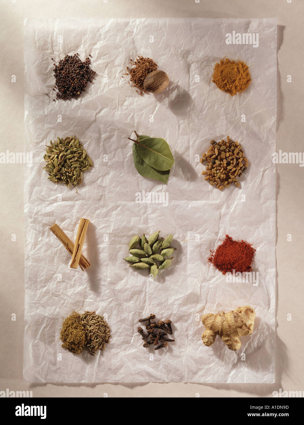 Still life of herbs and spices shot from a overhead position on a paper background Dappled light Original shot on 5x4 trans Stock Photo