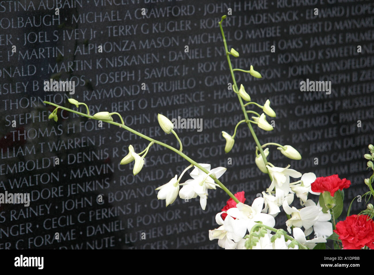 Flowers at the Vietnam war memorial in Washington DC Stock Photo - Alamy