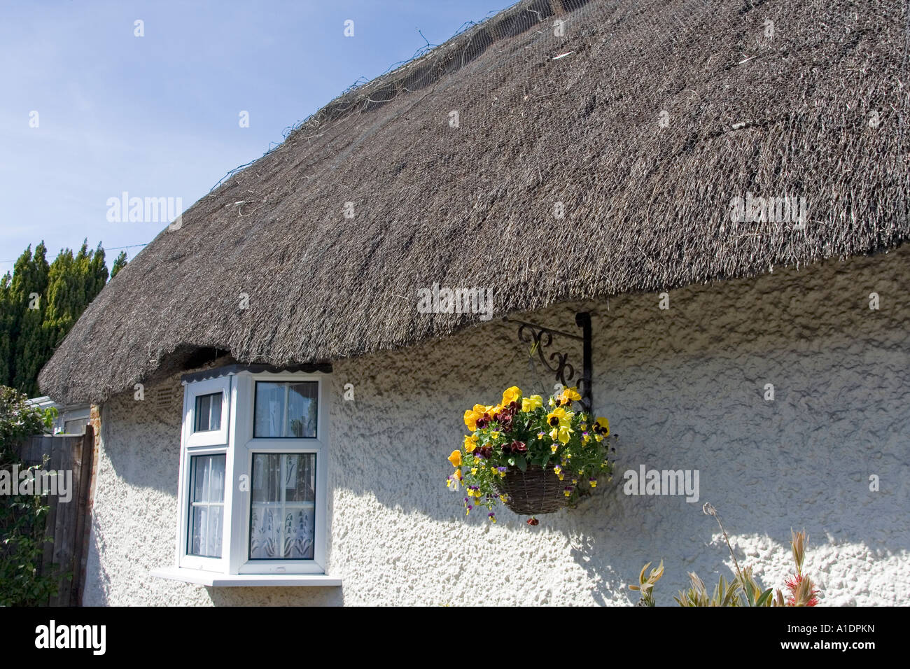 Thatched Cottage In Kent, England Stock Photo Alamy