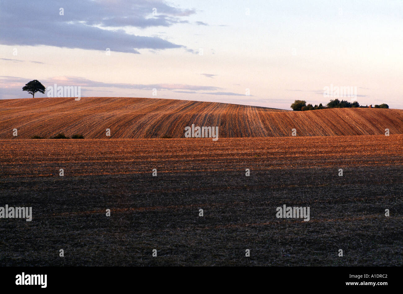 Ploughed fields near Polesworth, Warwickshire, UK lit by low sun late summer Stock Photo