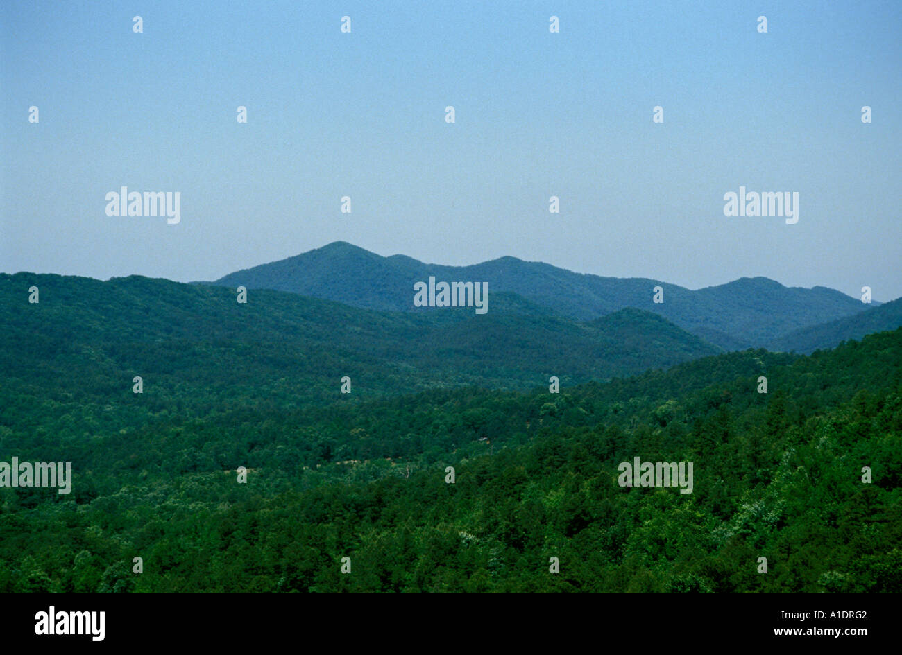 Ouachita national forest, ar hires stock photography and images Alamy