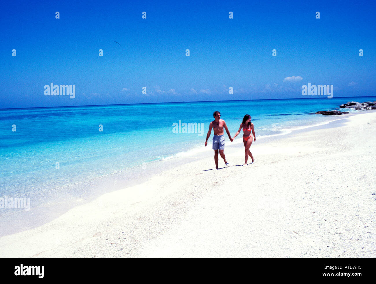 Australia Great Barrier Reef Lady Musgrave Island Stock Photo