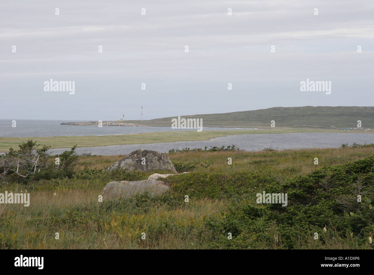 A view of Grande Étang looking north from Grande Miquelon a French