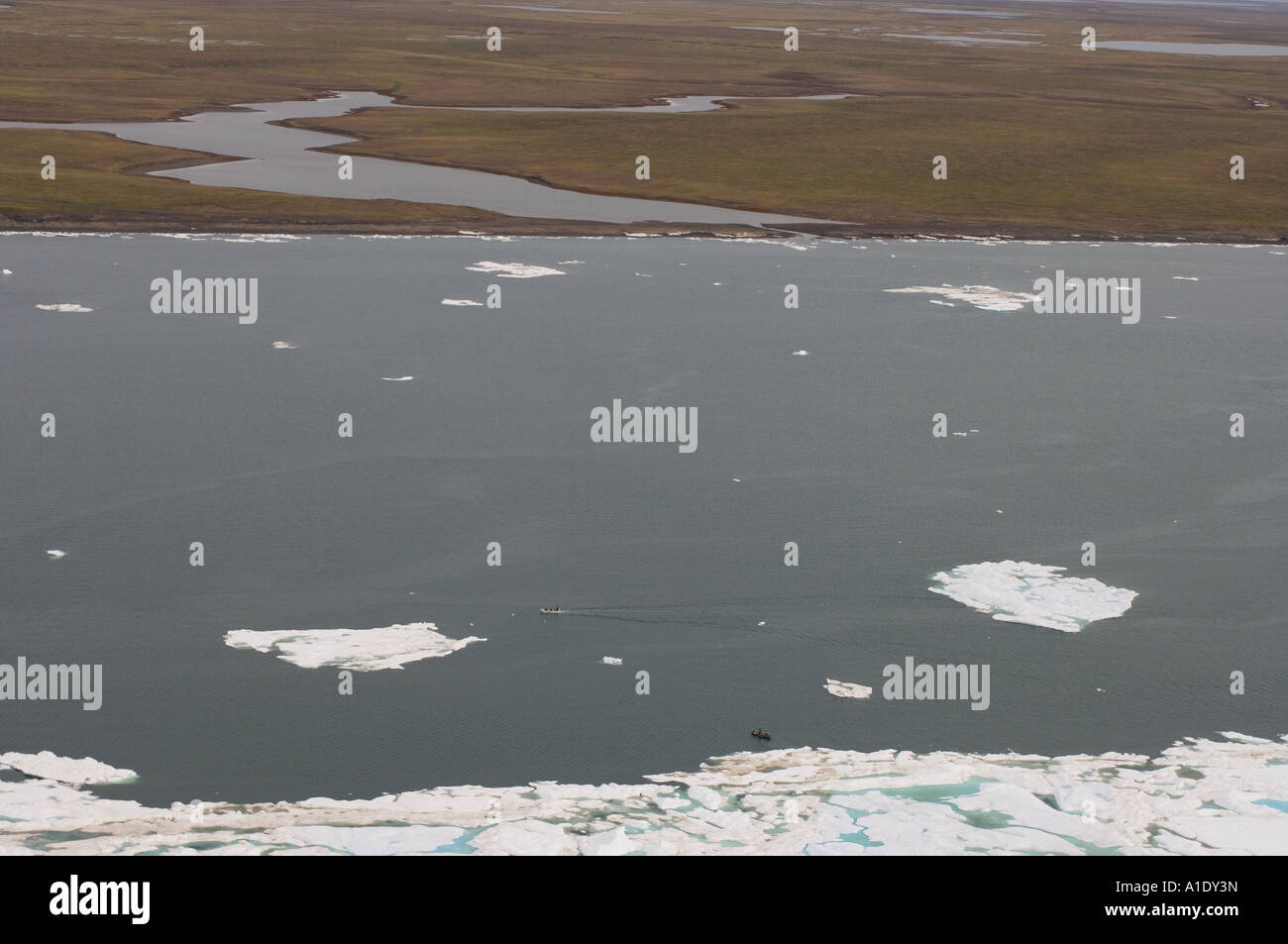 inupiat hunters along the pack ice outside Barrow and off the coast of ...