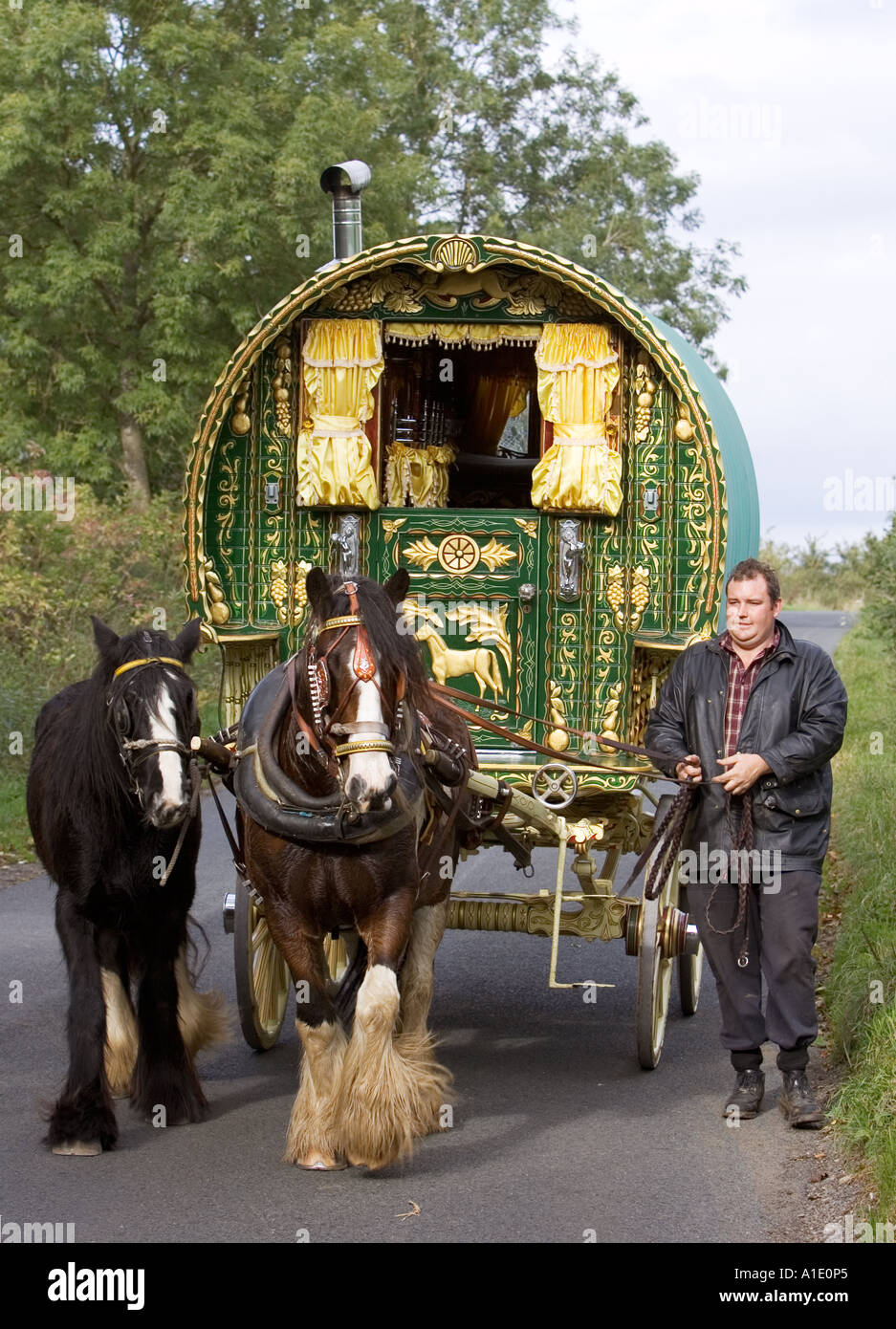 Shire horses pull 100 year old gypsy caravan through country lanes