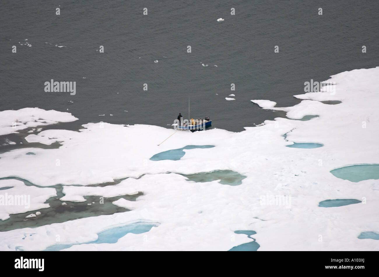 inupiat hunters with a boat on multi year ice outside Barrow and the ...