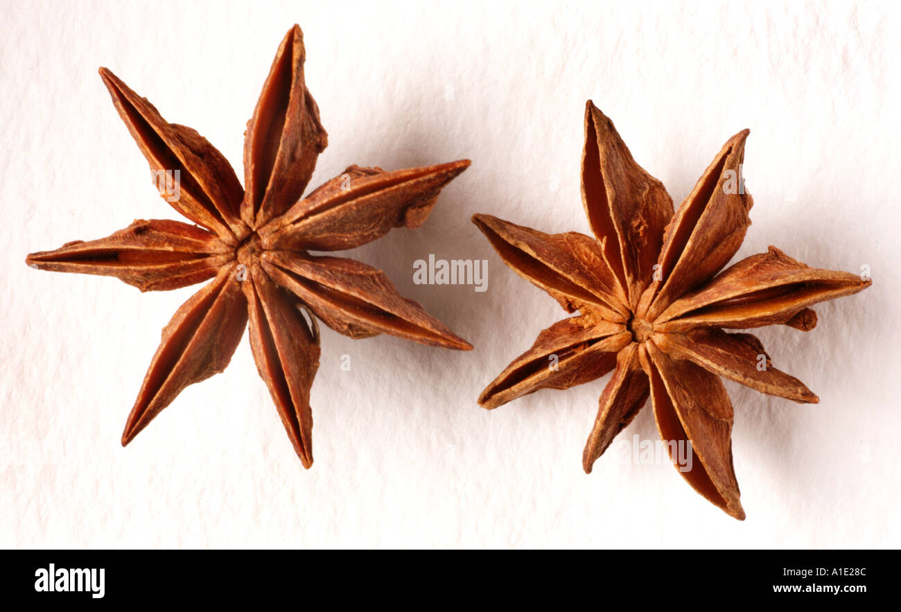 STAR ANISE Stock Photo