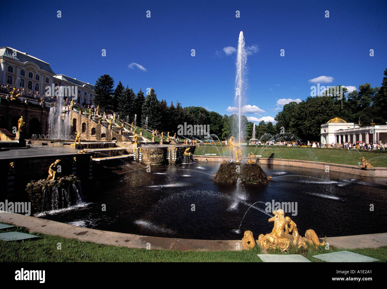 Peterhof Grand Cascade and Samson Fountain St Petersburg  Stock Photo