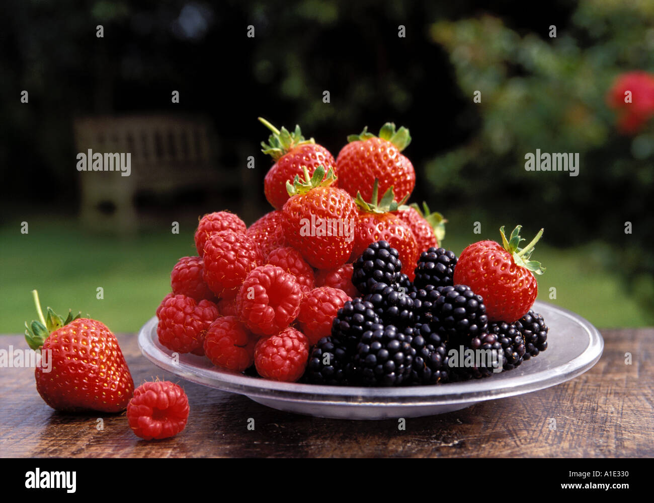 Local fruit in country garden Kent Stock Photo Alamy