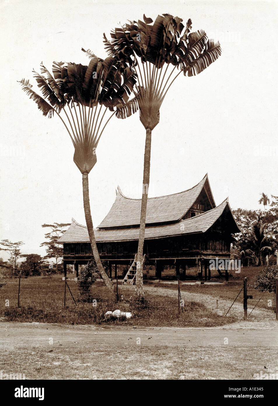 A travellers Rest in Malaya Stock Photo