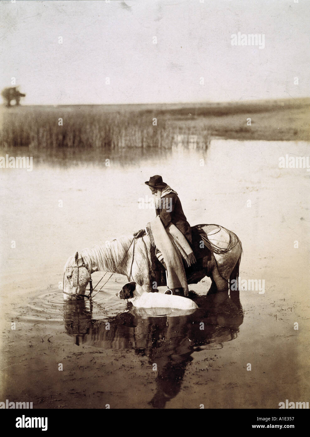 Crossing the ford Parana Swamps Stock Photo