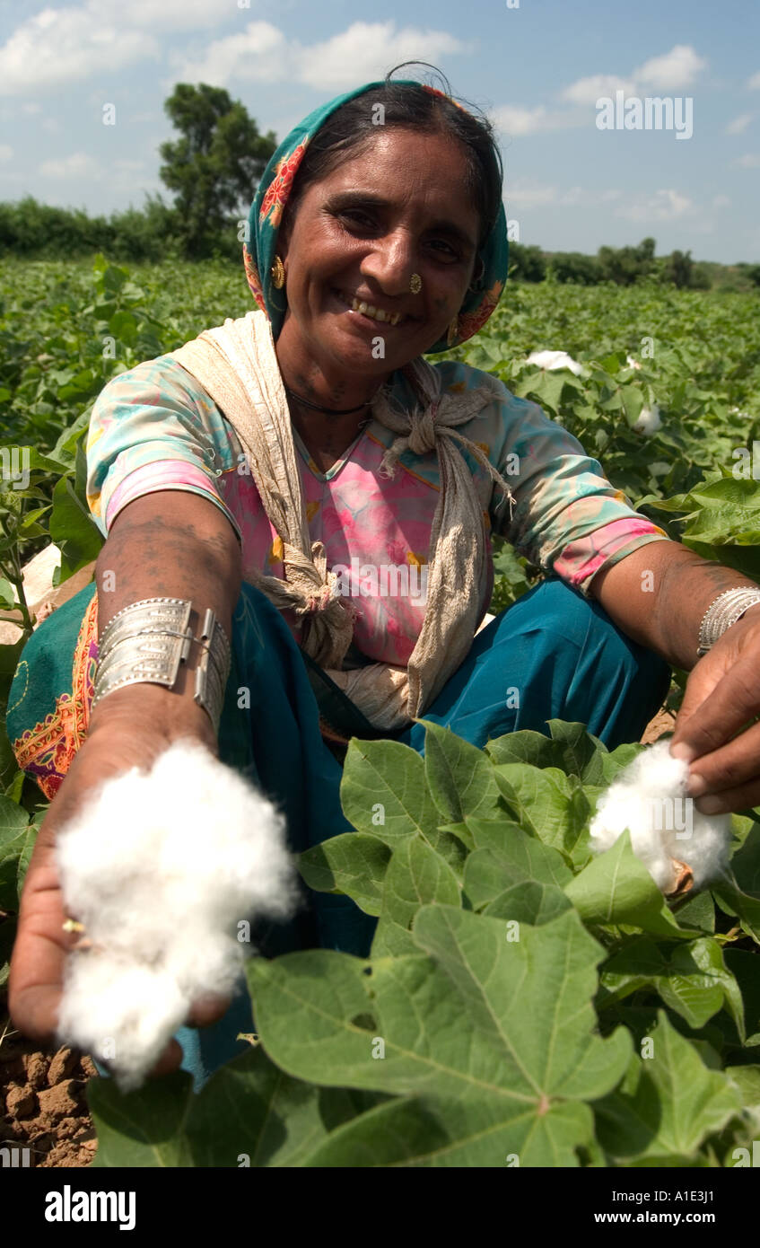Cotton farmer who supples Fairtrade cotton to Marks and Spencer and other UK supermarkets Stock Photo