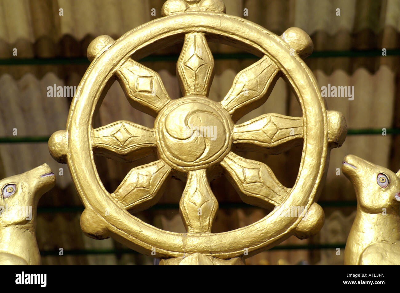 Dharma wheel with rung, golden symbol buddhism, tibetan Namgyal