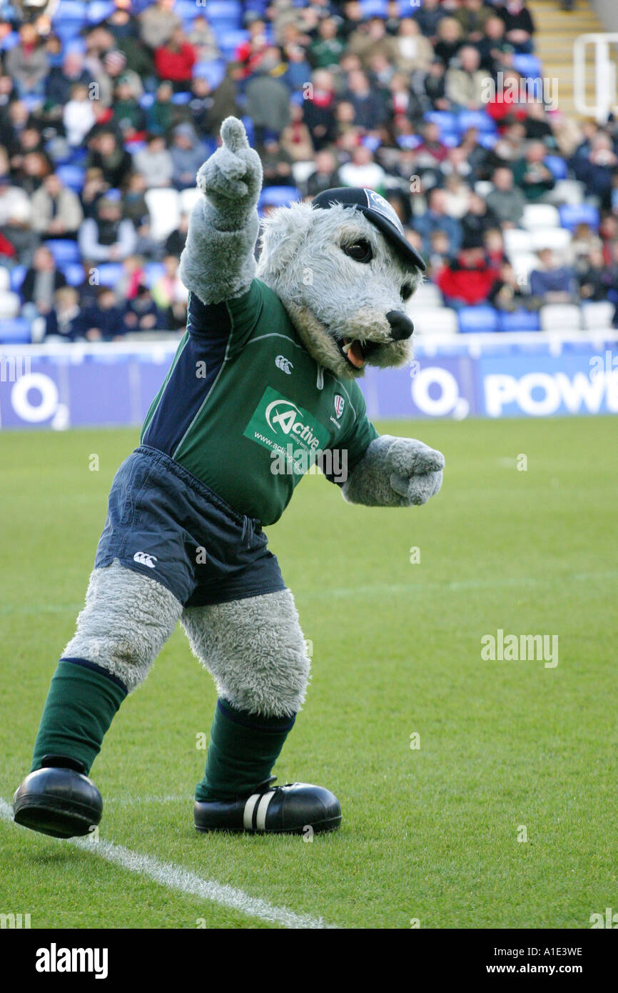 London Irish Rugby Club mascot Digger at The Madejski Stadium, Reading. Stock Photo