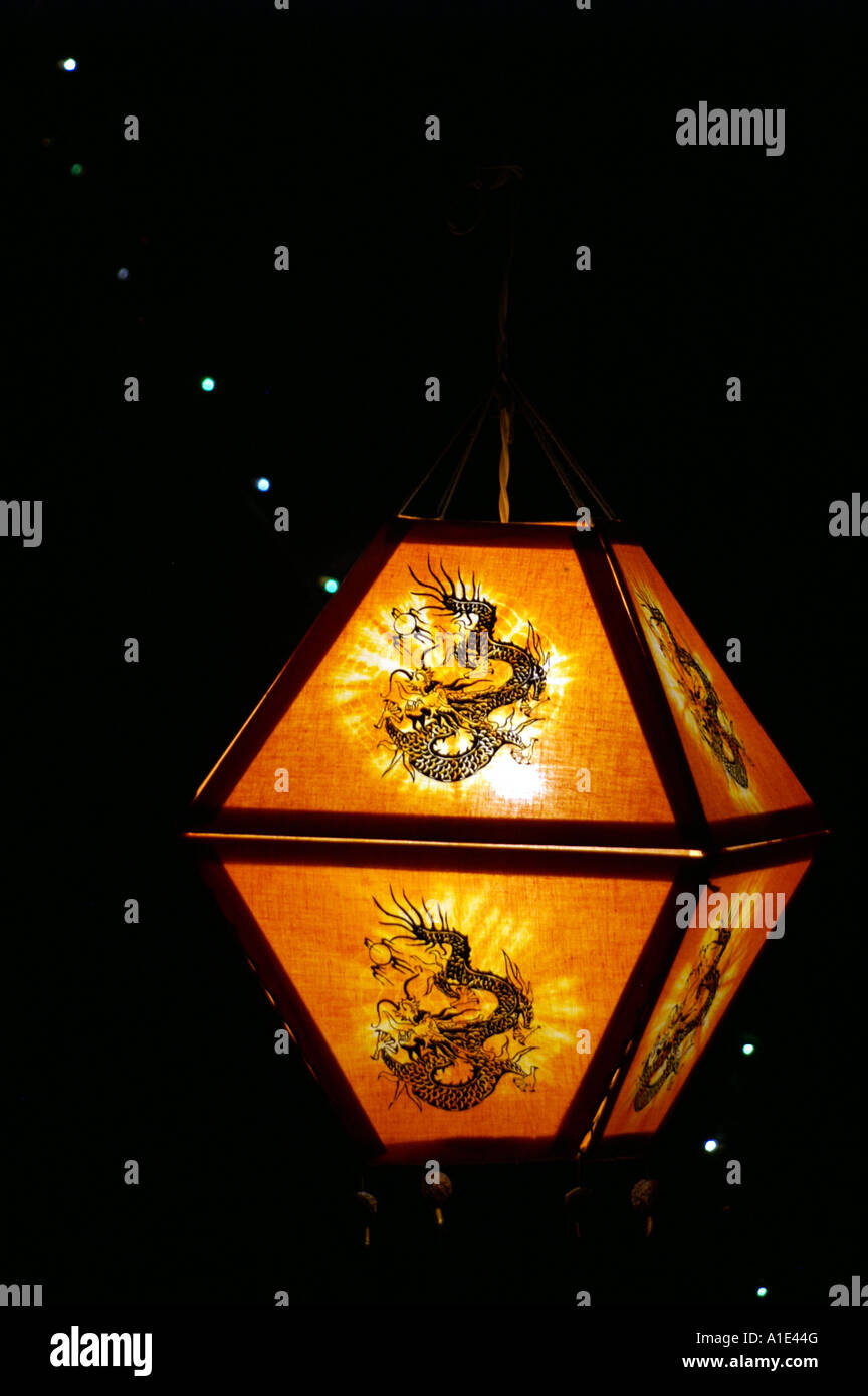Pendant Light Lampshade Shining In Darkness With Chinese Dragon