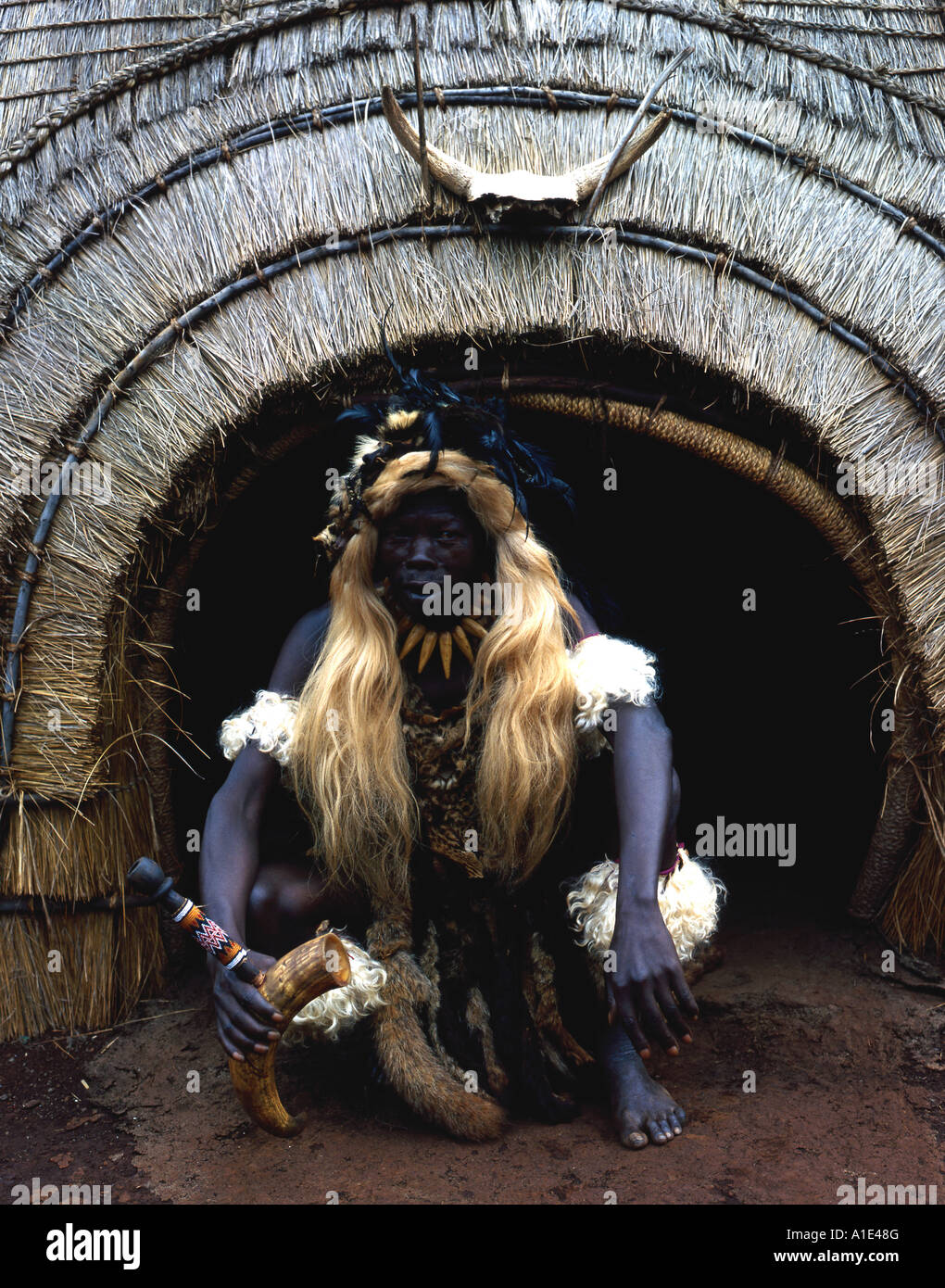 Zulu Witch Doctor in traditional dress Stock Photo