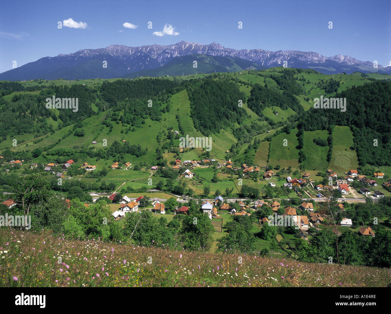 Bran Pass and Carpathian Mountains, Romania Stock Photo