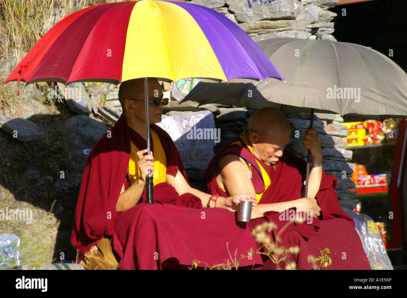 Tibetan buddhist monks men sitting sleeping resting under enormous