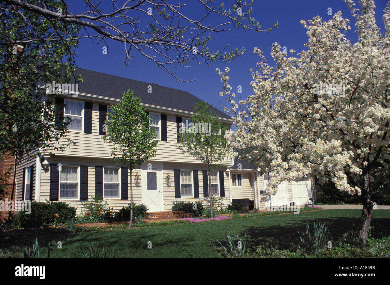Traditional two storey clapboard house with brick entrance and blooming
