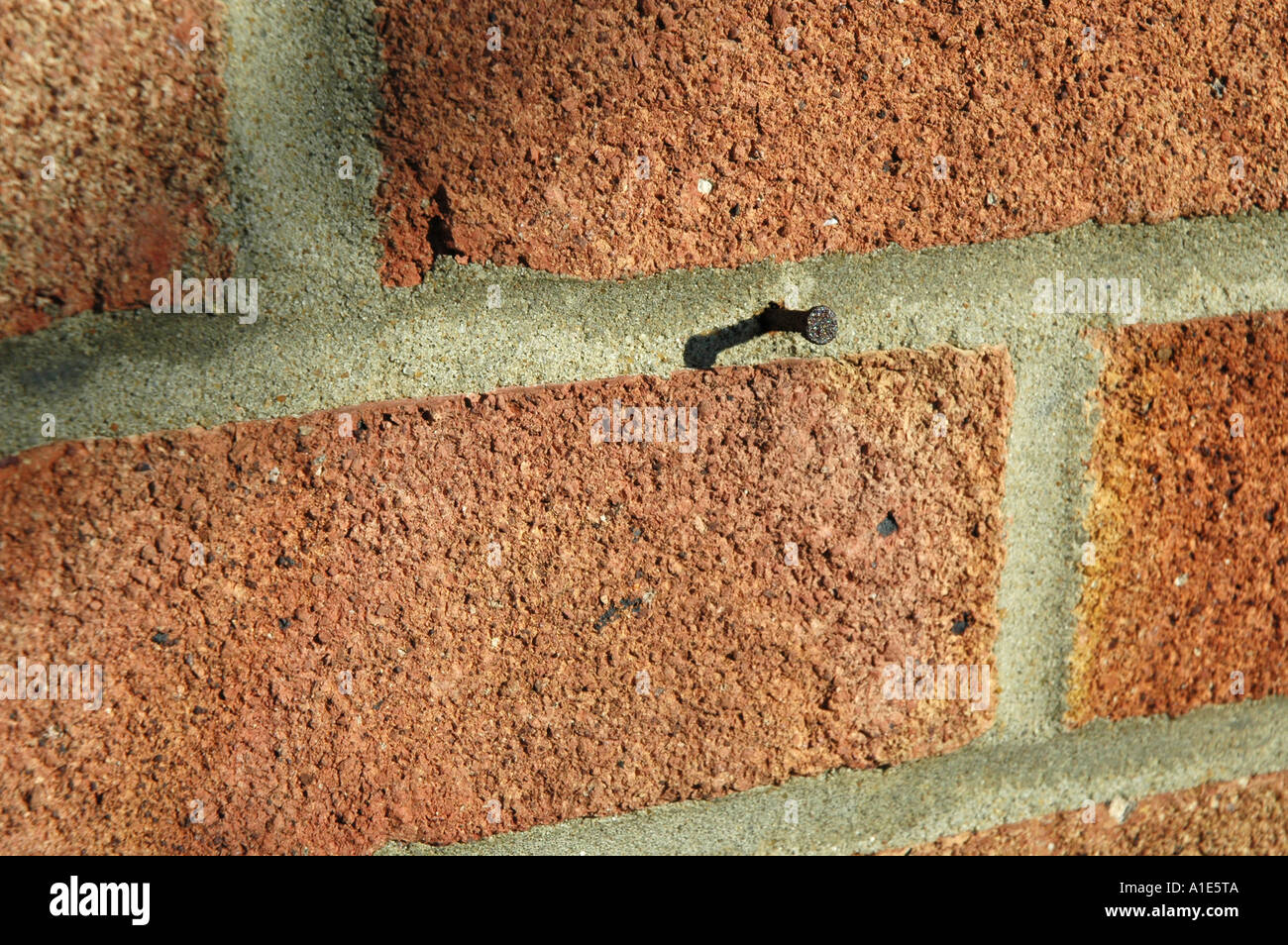 Nail in a wall Stock Photo Alamy