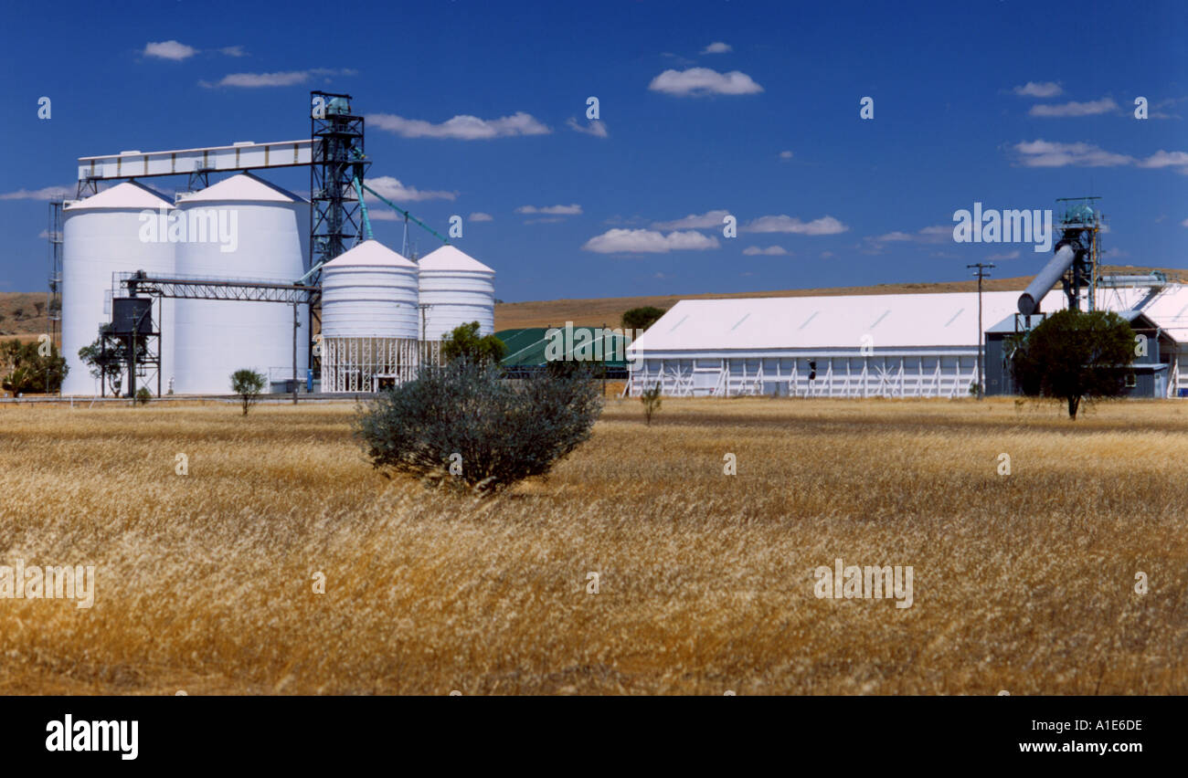 Australia Western Australian Wheat Belt Stock Photo Alamy