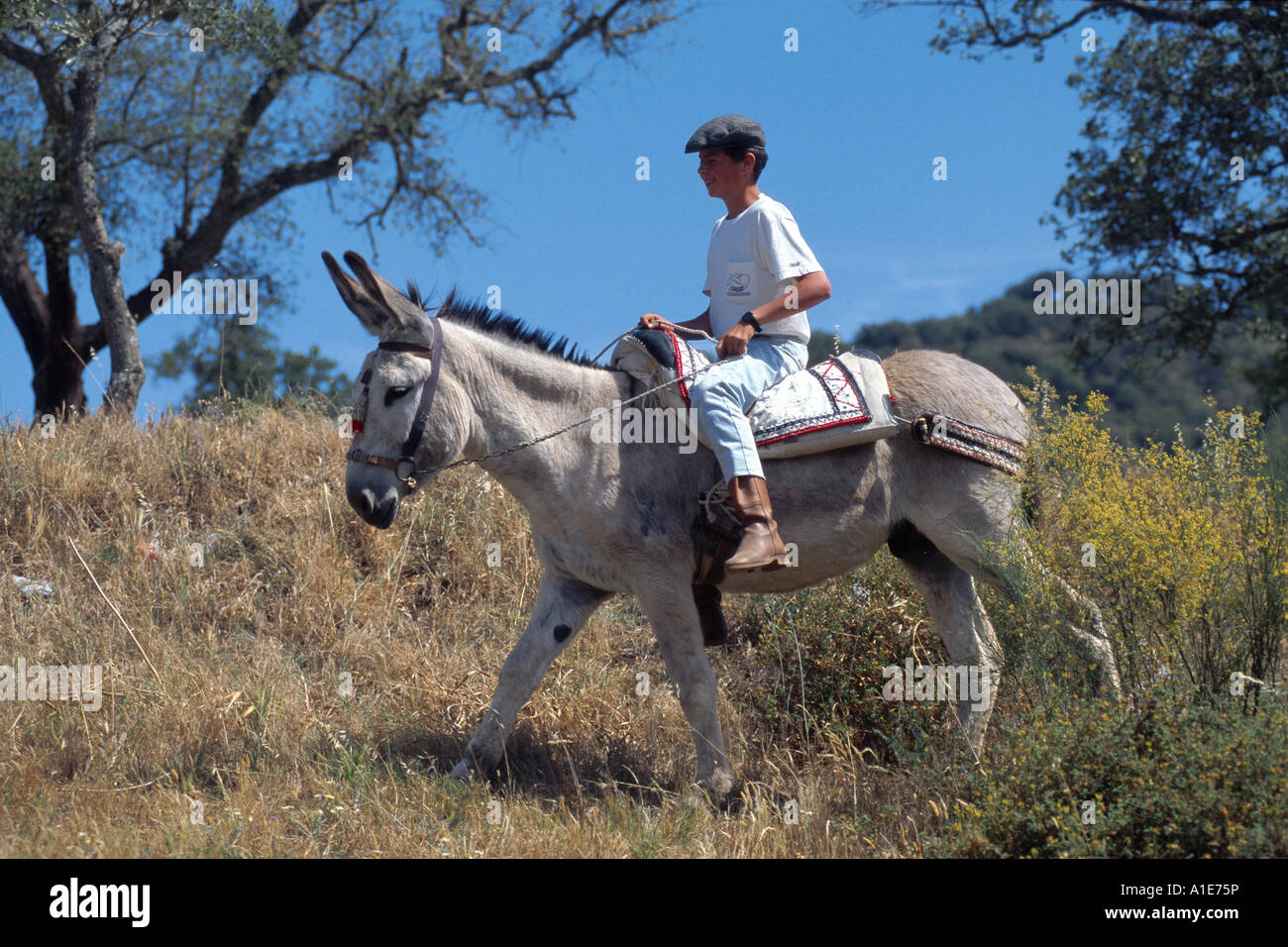 Donkey riders hi-res stock photography and images - Alamy