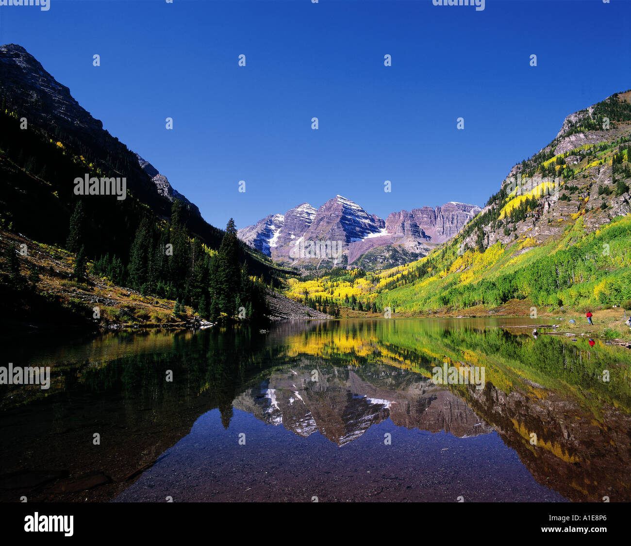 Autumn colours reflected in Maroon Bells Lake in Colorado USA Stock Photo