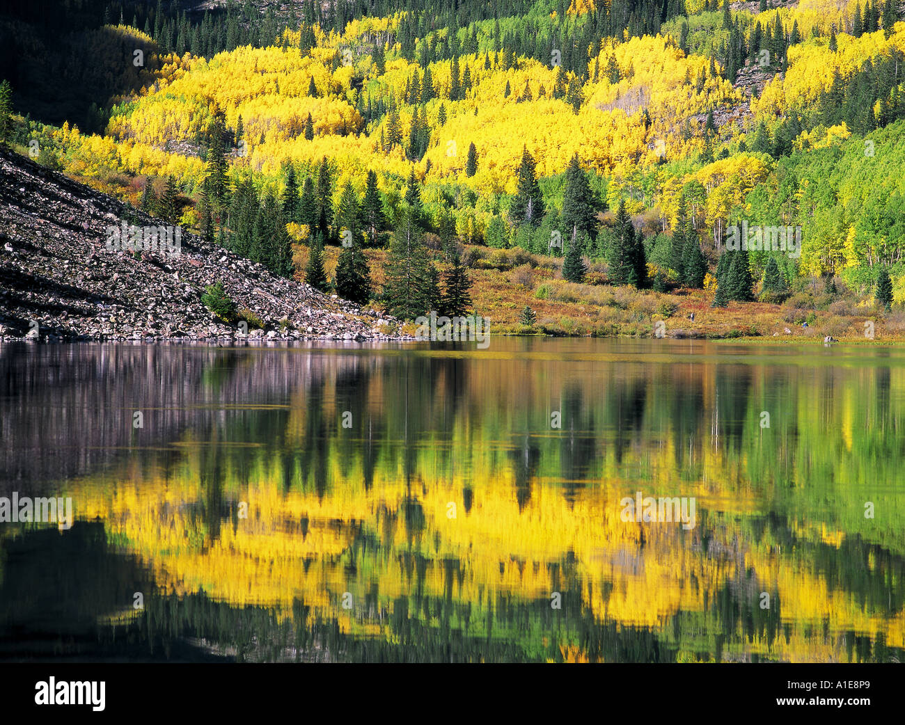 Autumn colours reflected in Maroon Bells Lake in Colorado USA Stock Photo