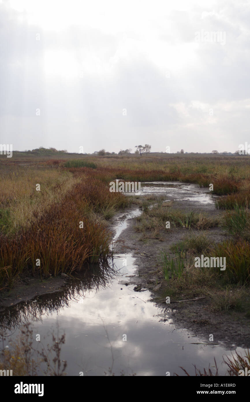 Park of a pond hi-res stock photography and images - Alamy