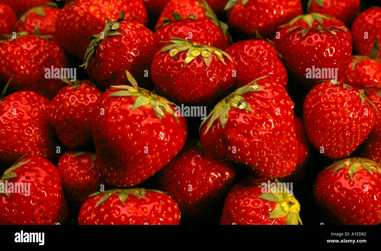 pile of fresh strawberries Stock Photo - Alamy