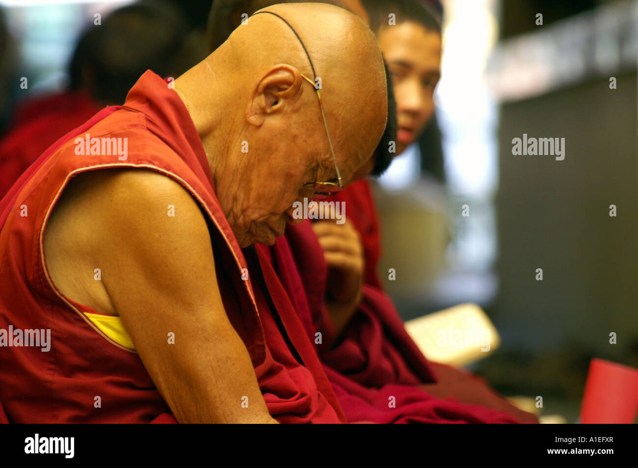 Old male tibetan buddhist monk sleeping during ritual prayer in