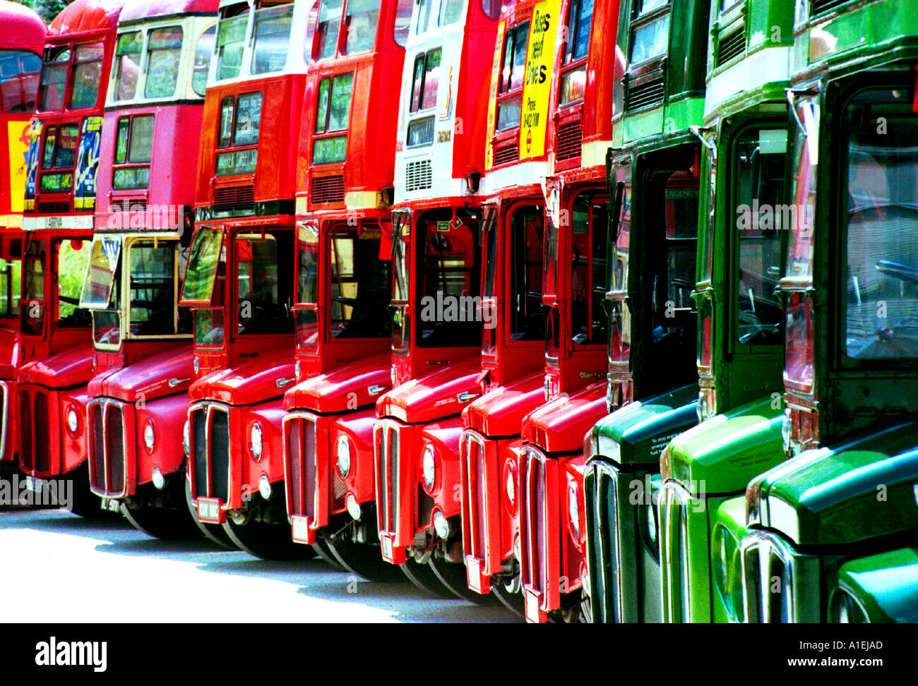 A line of big red buses on parade Stock Photo